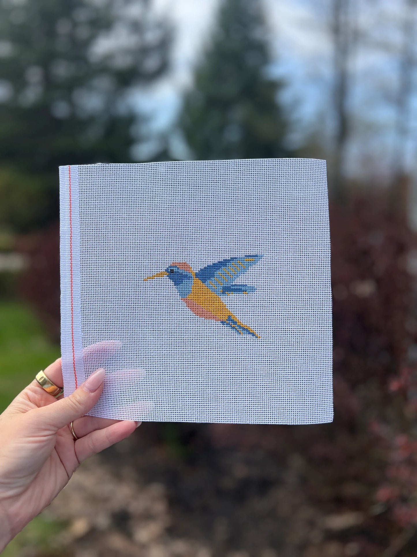 Hummingbird