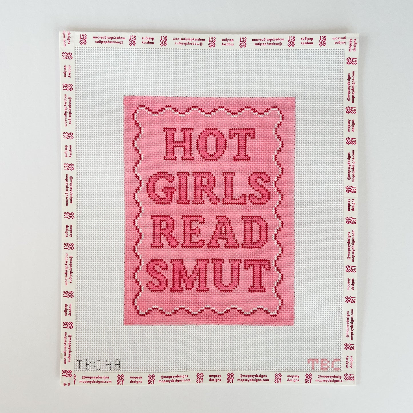 Hot Girls Read Smut-Kindle Cover
