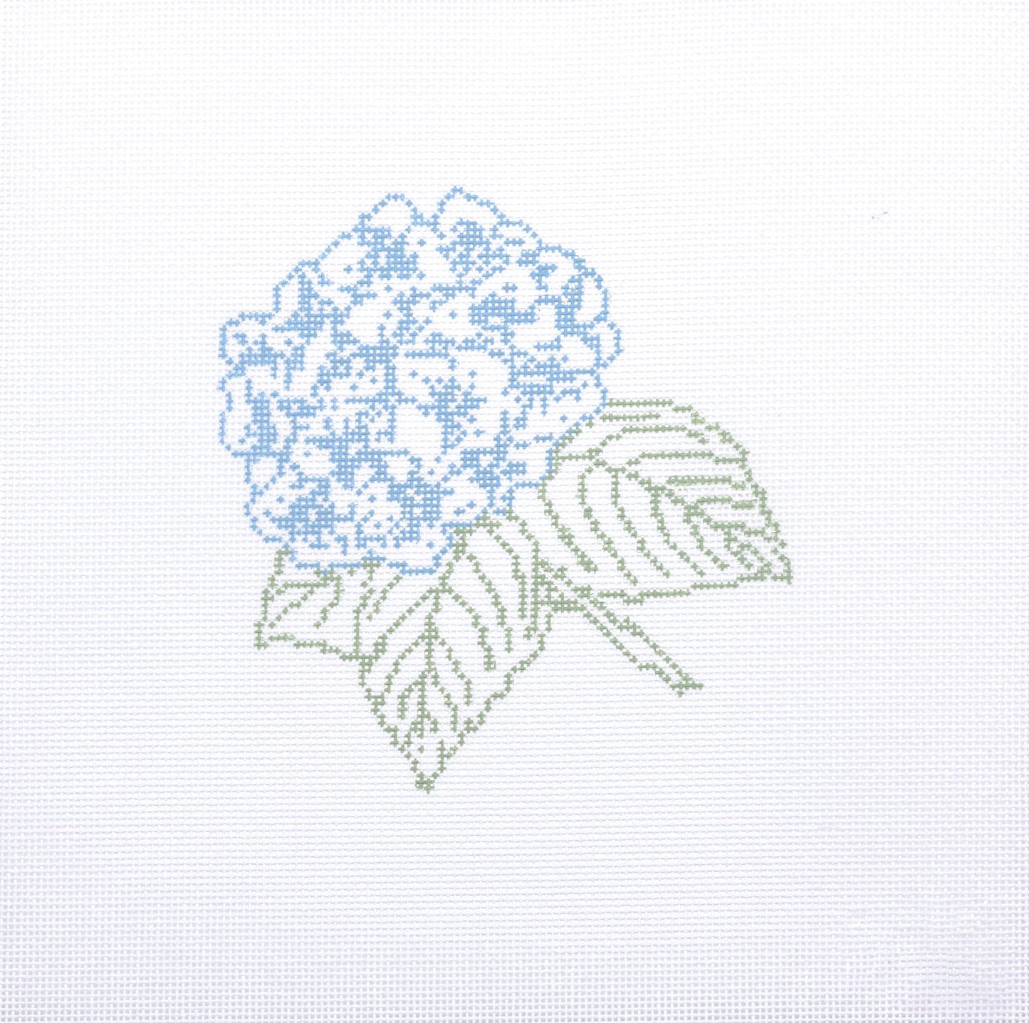 Hydrangea