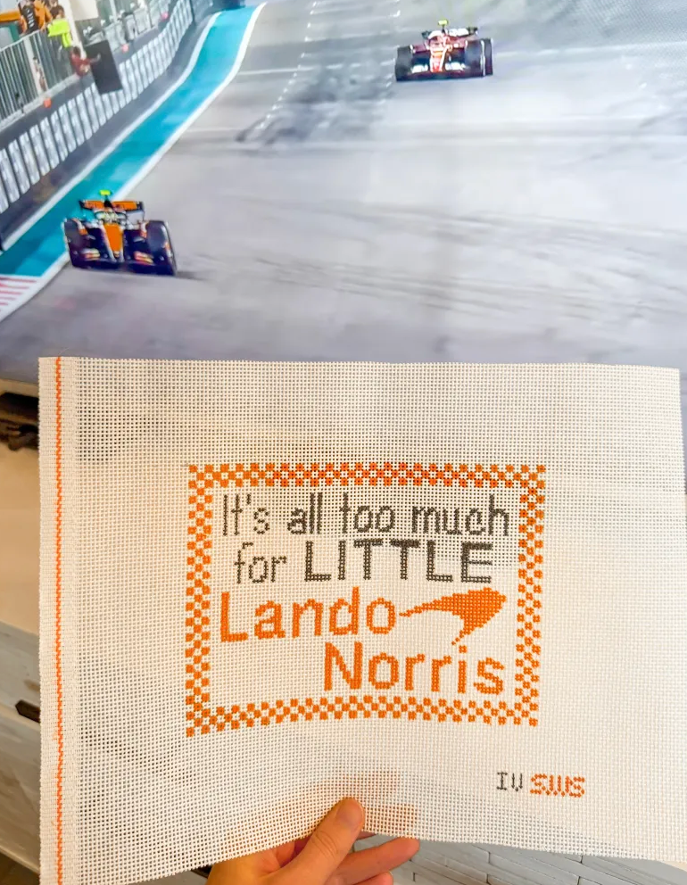 F1-It's All Too Much for Little Lando Norris