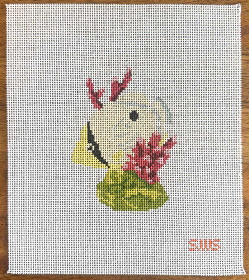 Yellow Coral Fish