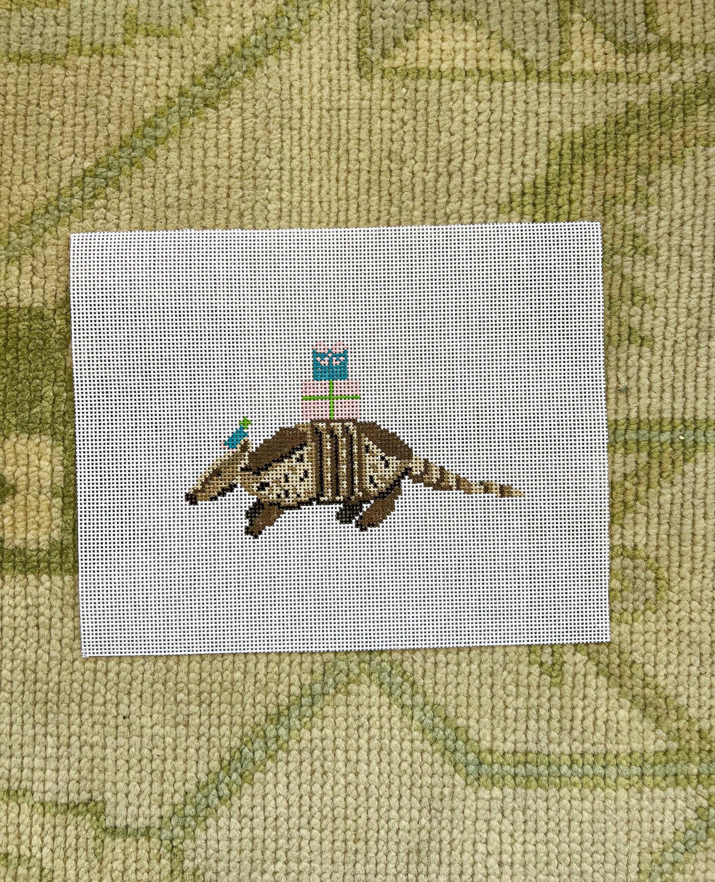 Party Animal-Armadillo
