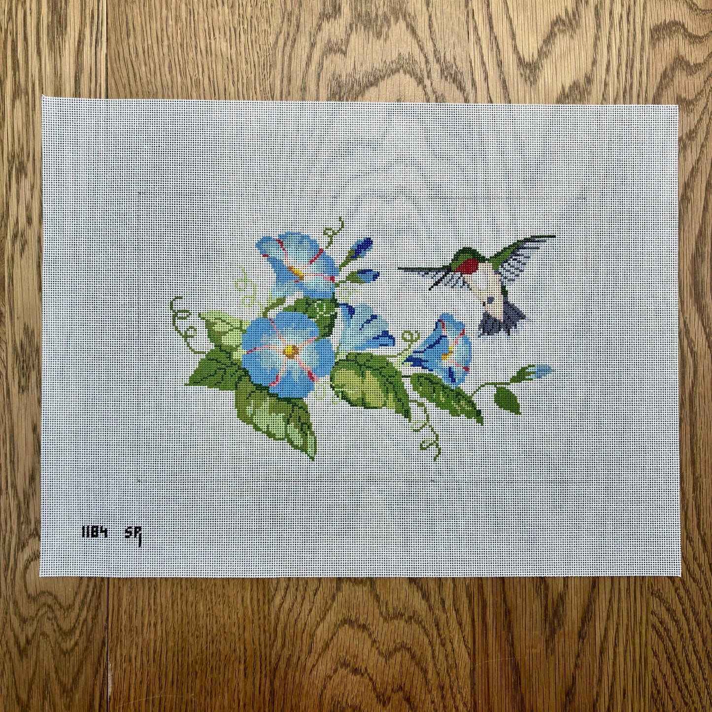 Morning Glories Hummingbird