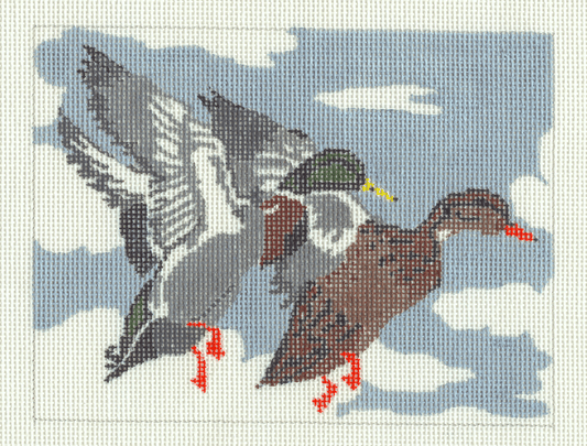 Pair of Mallards