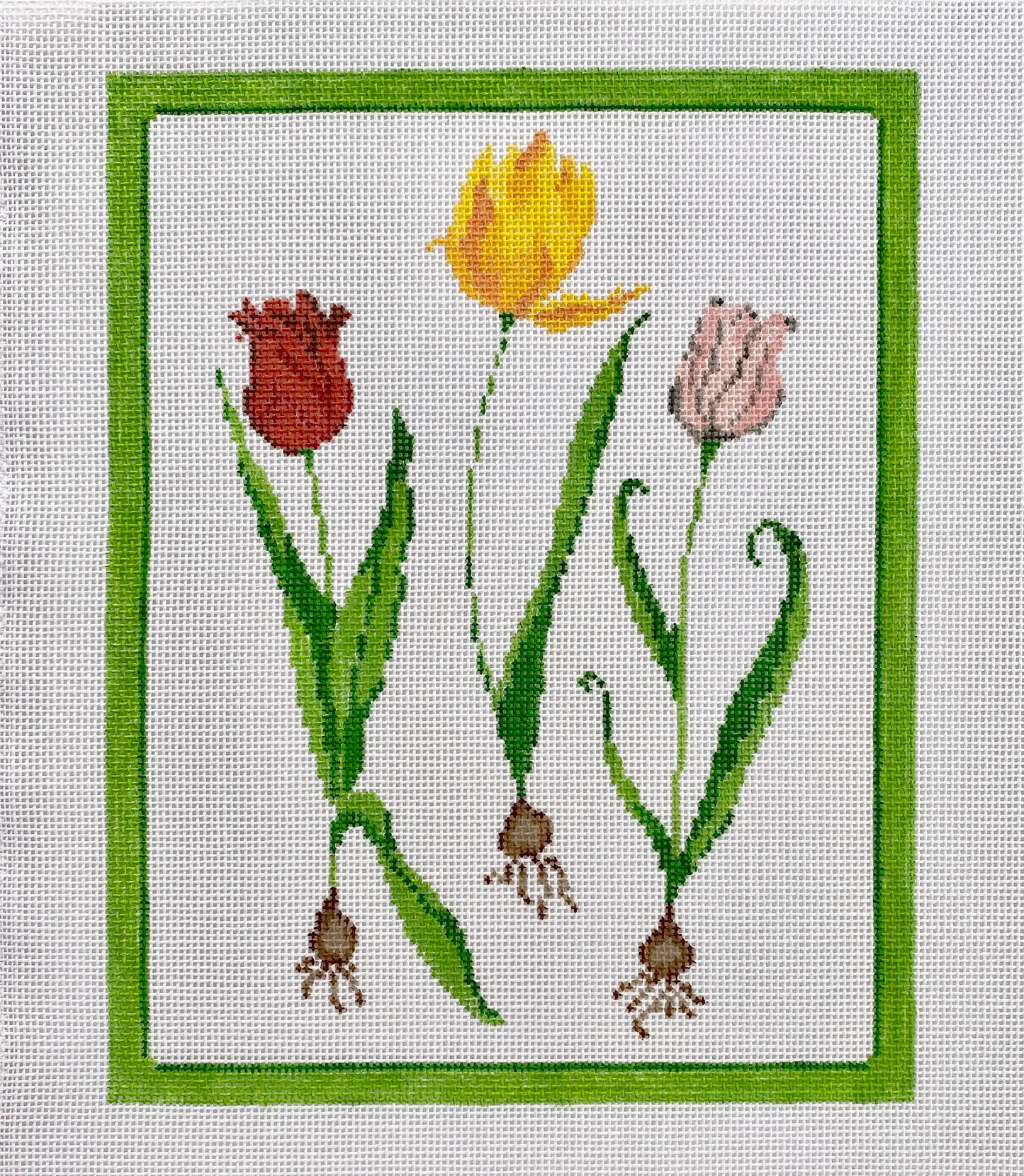 Tulips