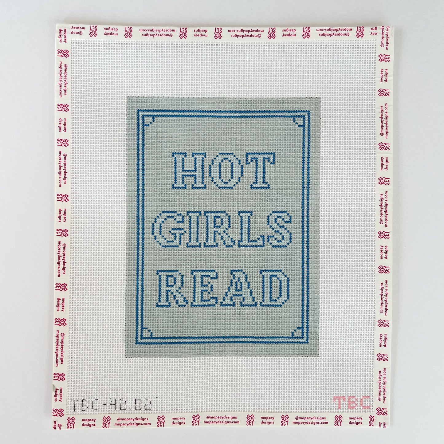 Hot Girls Read Kindle Cover-Blue