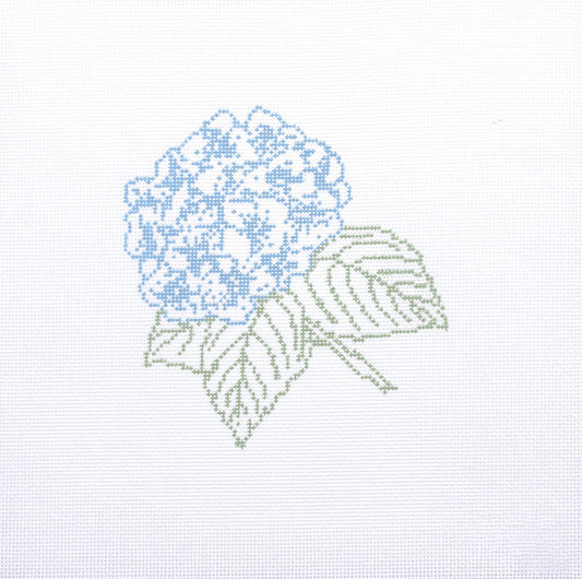 Hydrangea