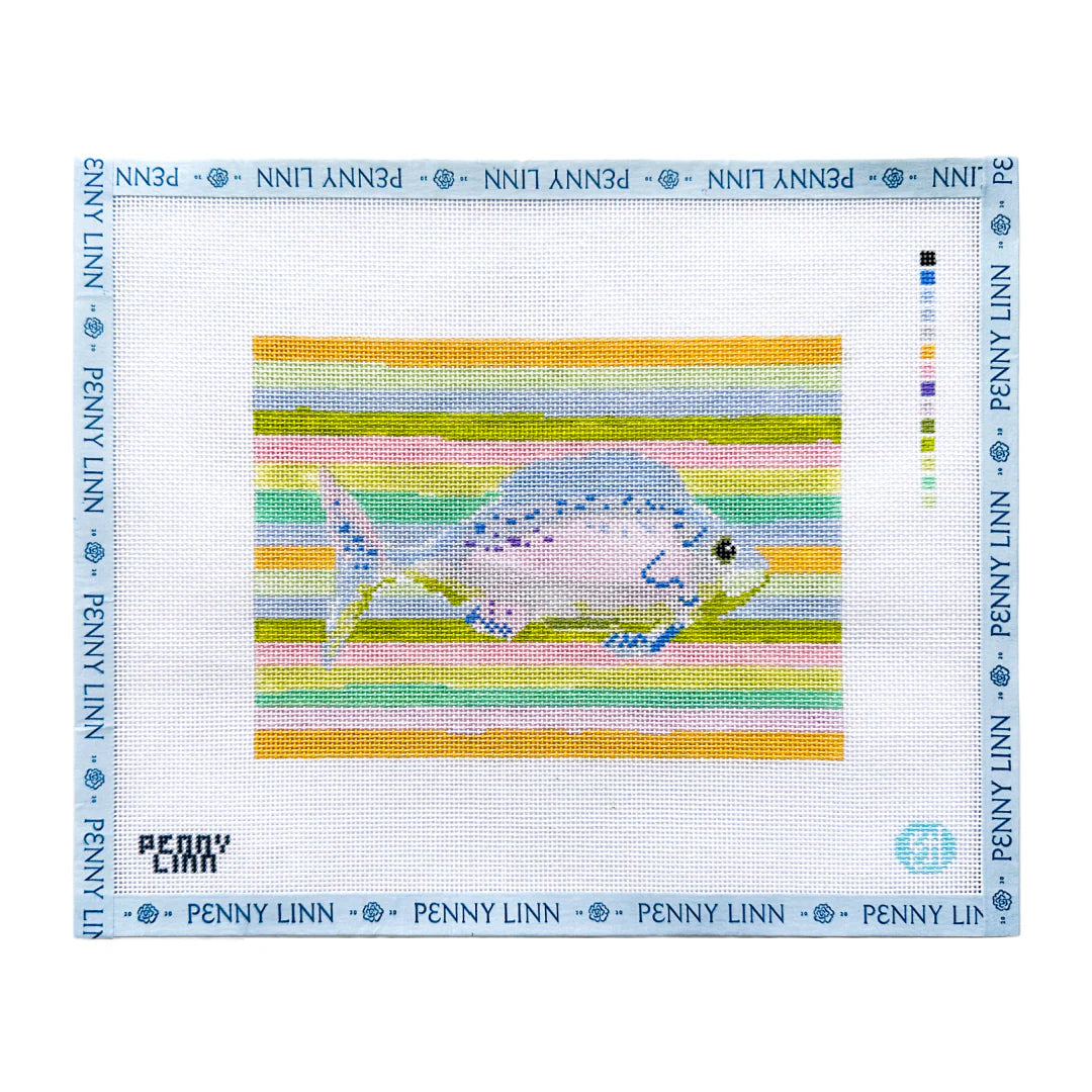 Rainbow Fish