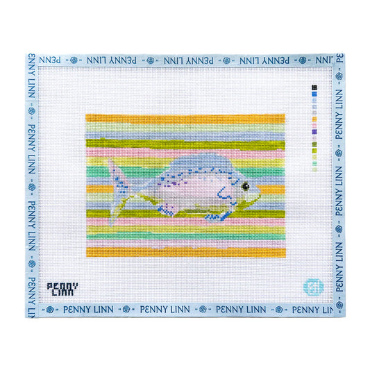 Rainbow Fish