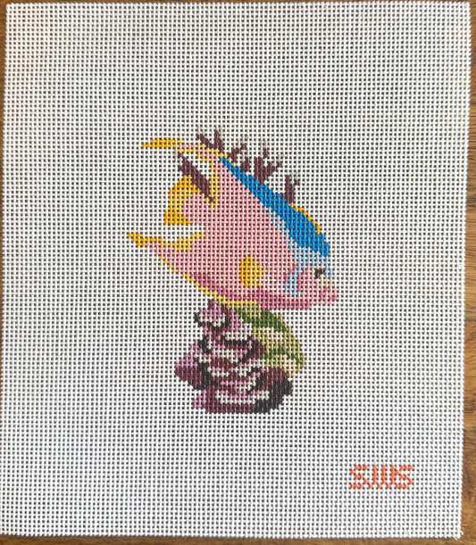 Pink Coral Fish