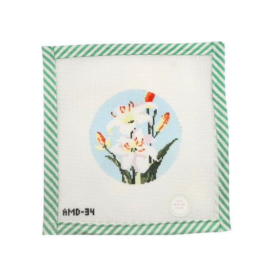 Flowers of the Bible: Lily of the Field